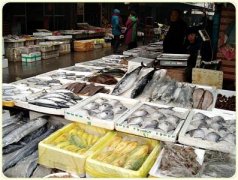 上海海鮮低溫冷庫建造，水產品低溫冷庫造價