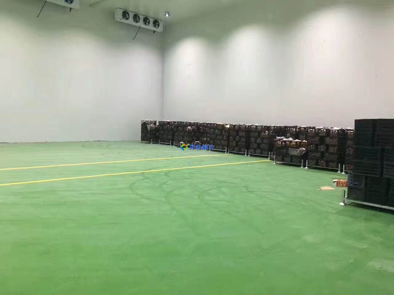 1000平蒜薹冷庫價格，蒜薹保鮮庫耗電量計算