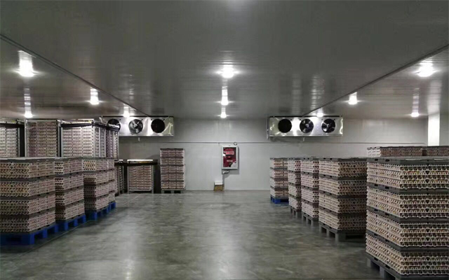 1000噸0-5℃蘋果冷藏庫多少錢，2-4℃冷藏庫建設(shè)