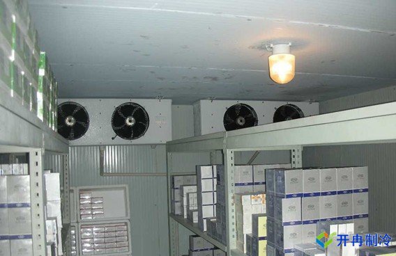上海藥廠建造-20℃醫藥血漿冷庫，超低溫血漿冷庫定制預算多少